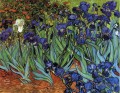Iris Vincent van Gogh impressionistische Blumen